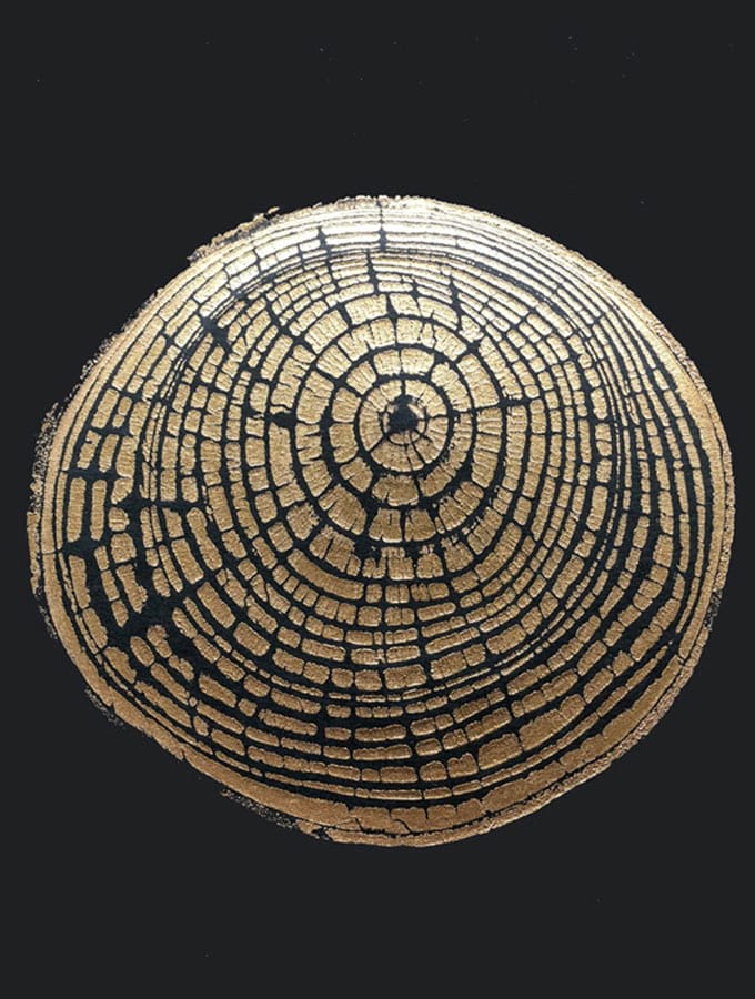 A product of tree rings